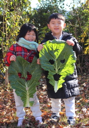 가창산들꽃숲체험학교에서 배추와 무를 관찰해요